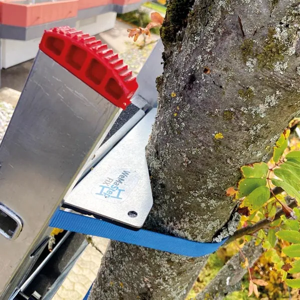 WeMa-Step FIX am Leiterkopf, mit Spanngurt an einem Baumstamm gesichert